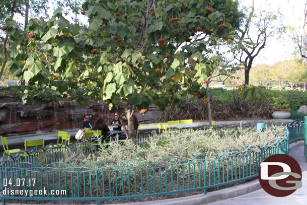 Noticed some of the new tables set up across from World of Disney too (these have probably been there for weeks like the ones on the bridge but I just noticed them)