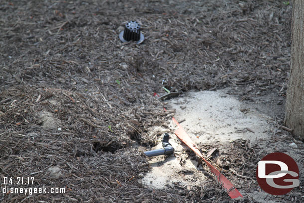 Still working on the landscaping. A sprinkler pipe with no head.