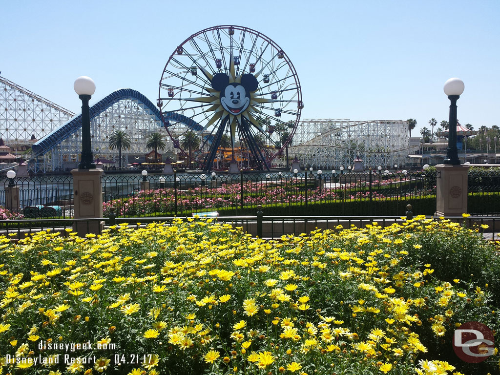 Paradise Park and Mickeys Fun Wheel