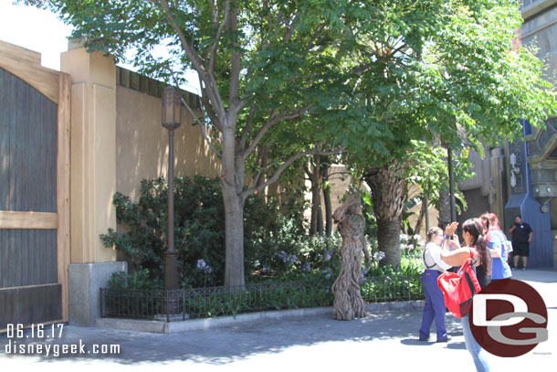 Groot was under a tree in the shade this afternoon. It was 90 degrees out.