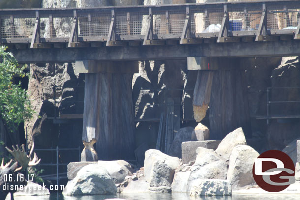 Looks like the beavers moved up river and went to work on the trestle.