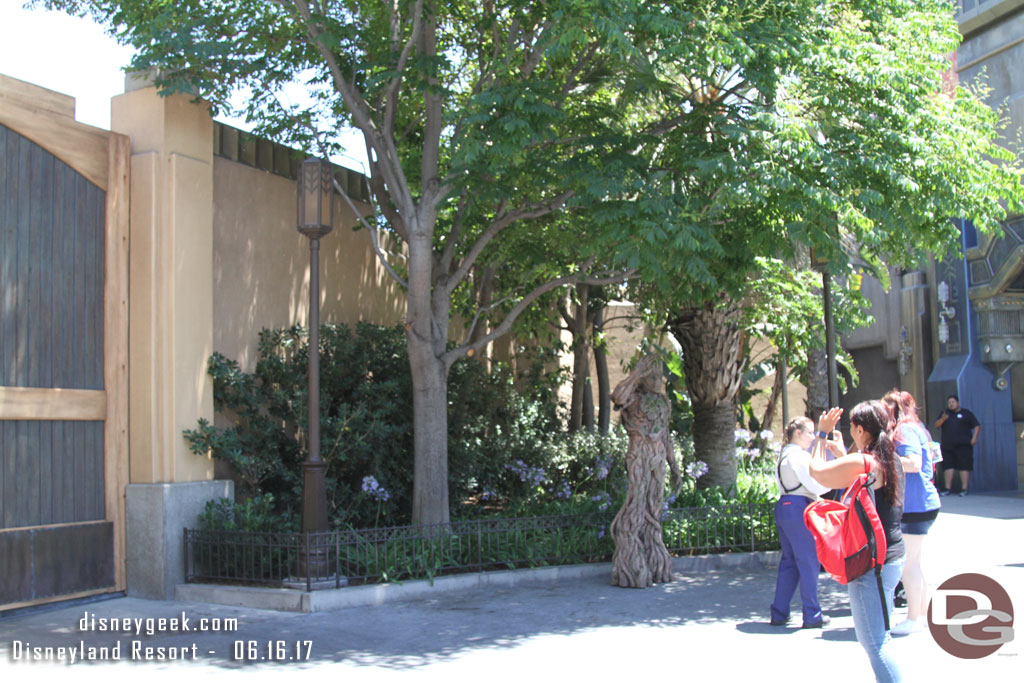 Groot was under a tree in the shade this afternoon. It was 90 degrees out.