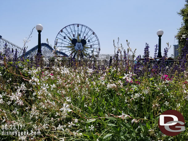 Paradise Pier