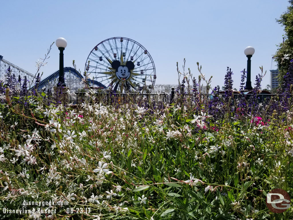 Paradise Pier