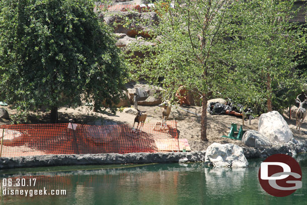 Looks like the area along the river is ready for plants.