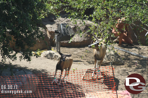 Deer and speakers are visible.