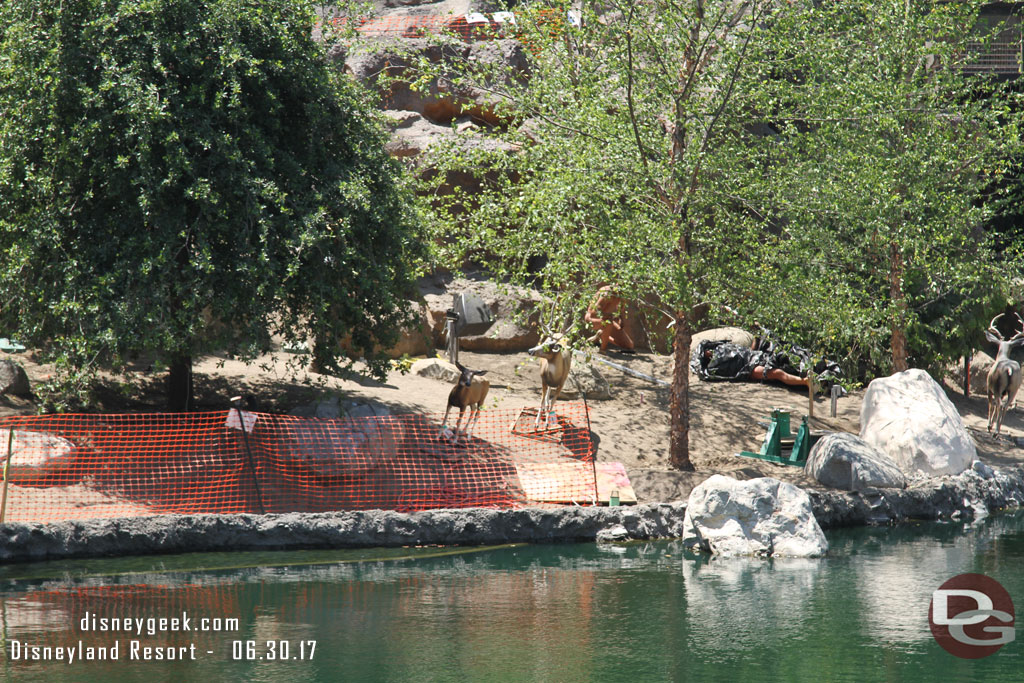 Looks like the area along the river is ready for plants.