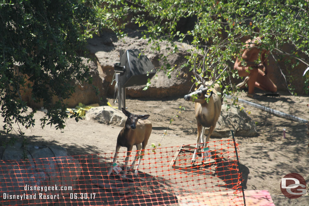 Deer and speakers are visible.