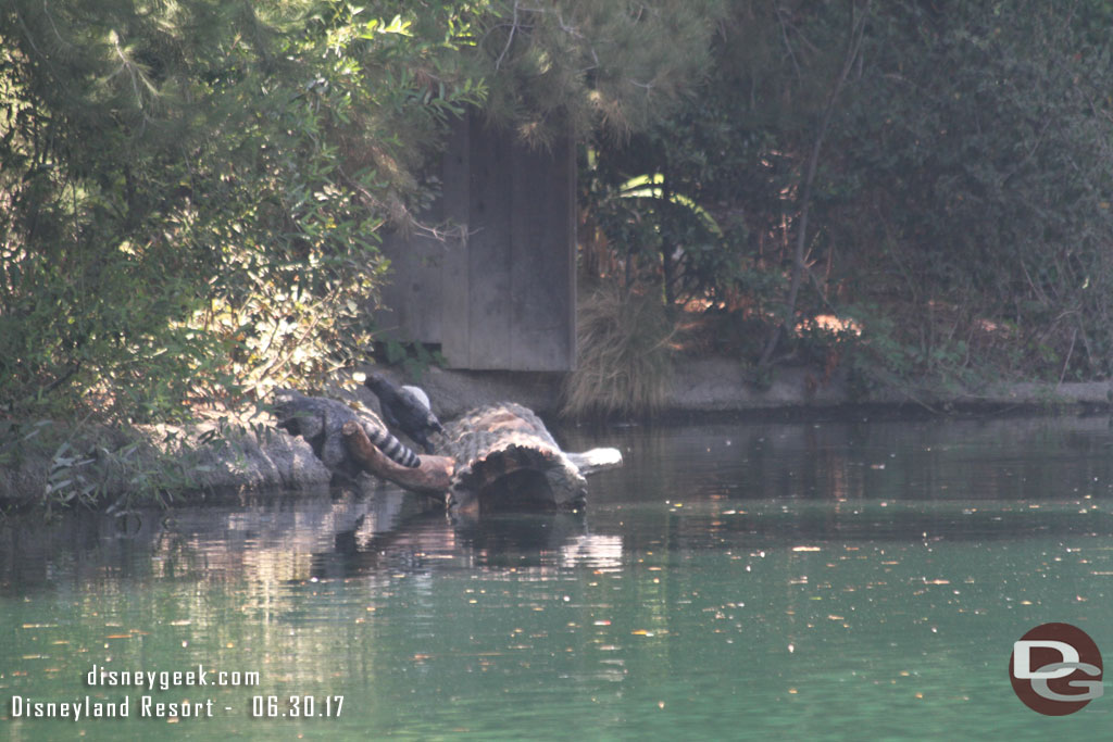 This log looks to have rotated a bit.  This has the critters on it.  