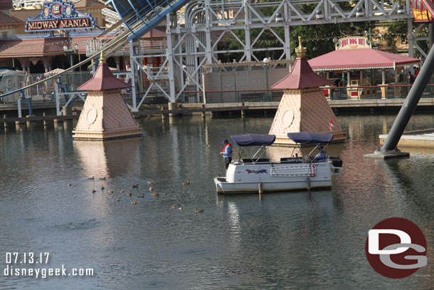 Out for a leisurely boat ride.. feeding the ducks this morning.  It seemed they were waiting for someone or something.