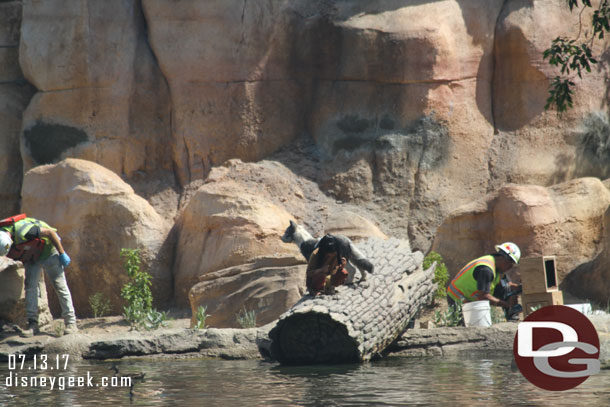 The Indian fishing and his dog have returned to the rivers edge.