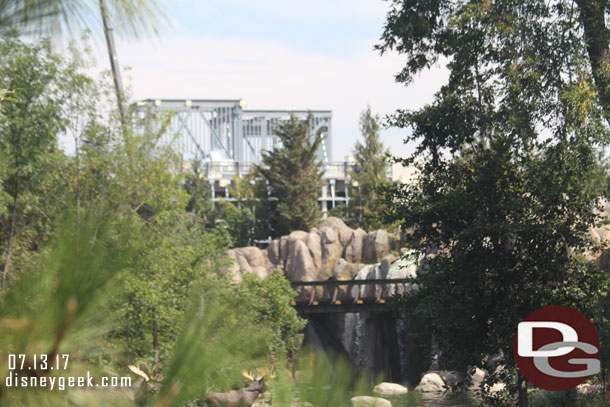 The buildings are visible over the trees right now.