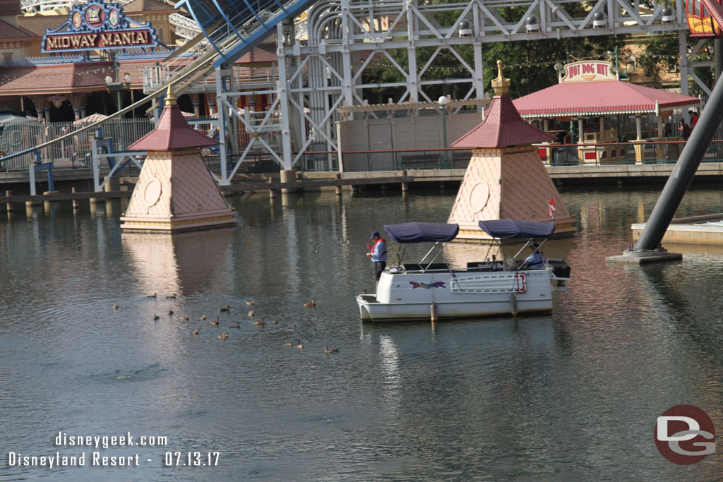 Out for a leisurely boat ride.. feeding the ducks this morning.  It seemed they were waiting for someone or something.