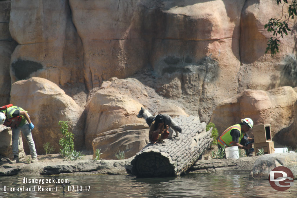 The Indian fishing and his dog have returned to the rivers edge.