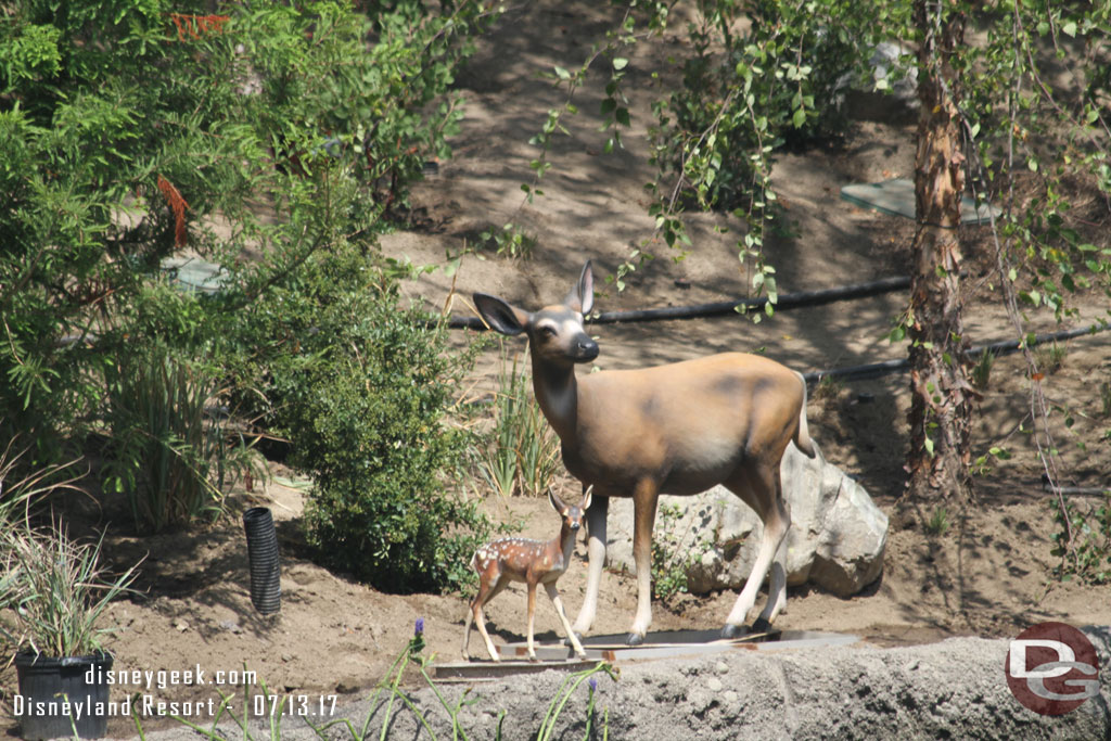 A doe and fawn along the river