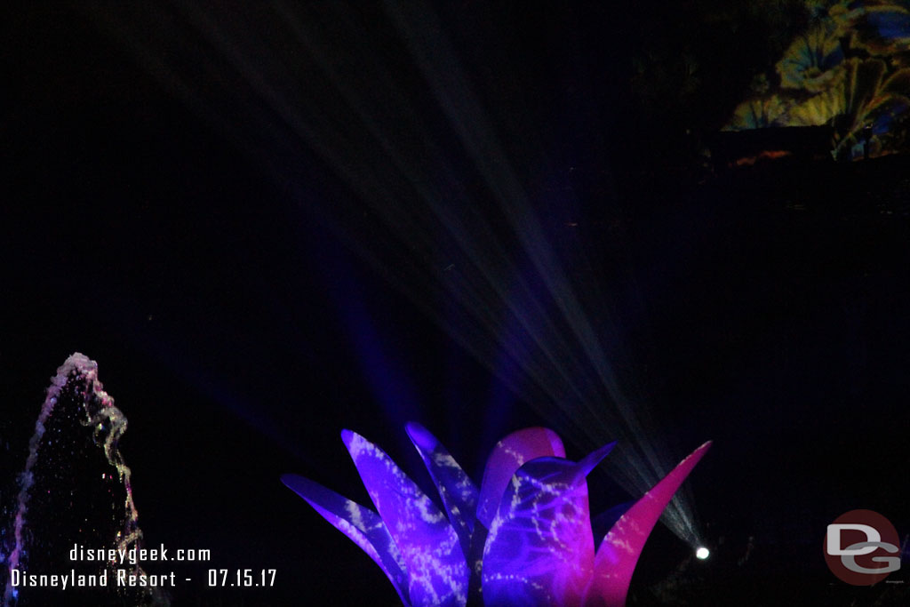 Some projections on the flower now.