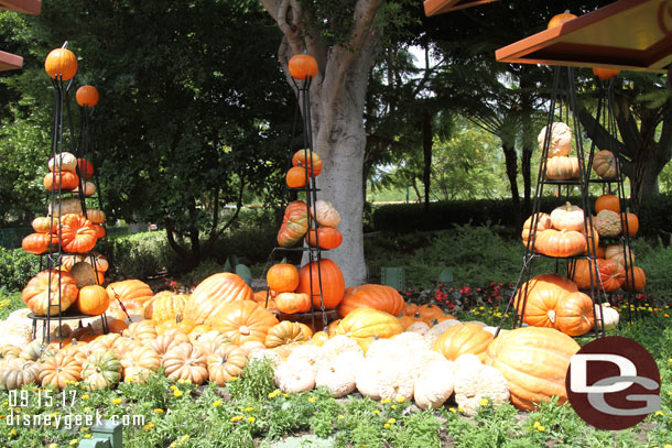 A closer look at the fall harvest display in Downtown Disney.