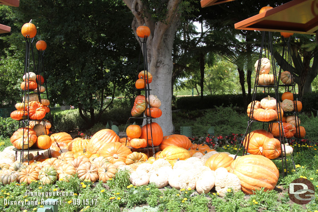 A closer look at the fall harvest display in Downtown Disney.