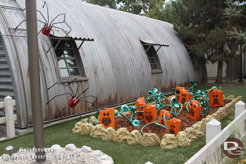 A pumpkin patch near Sarge