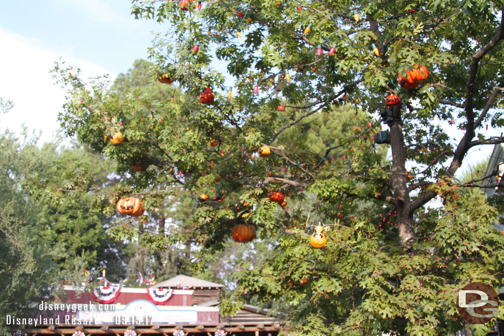 The Halloween Tree in Frontierland.