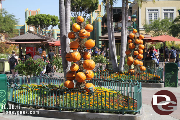 Downtown Disney has Halloween/Fall decorations in many of the planters this year.