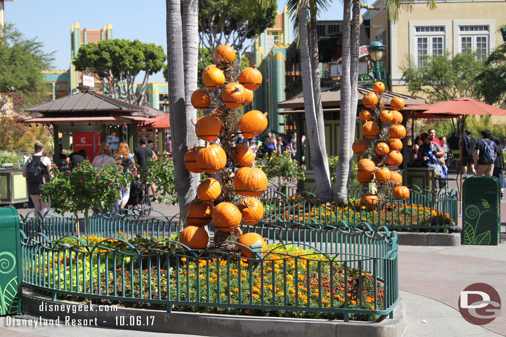 Downtown Disney has Halloween/Fall decorations in many of the planters this year.