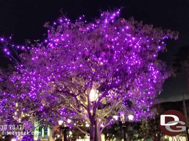 Purple is the color of choice on Buena Vista Street