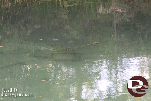 The water along the trail was really clear today and you could see the fish (which were not moving)