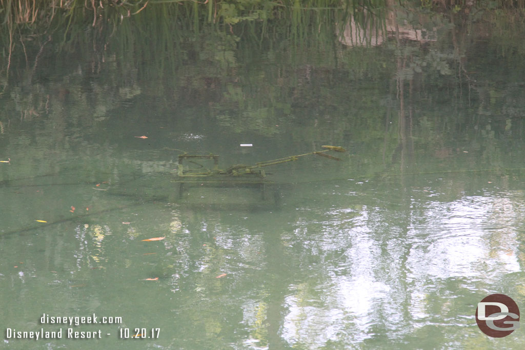 The water along the trail was really clear today and you could see the fish (which were not moving)