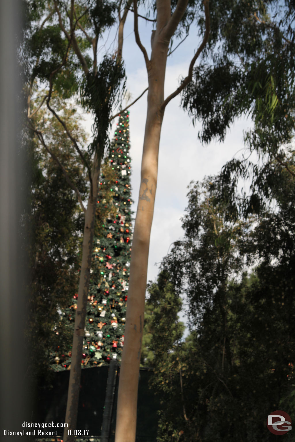 The Christmas tree is assembled backstage and ready to move to Town Square in the coming days.