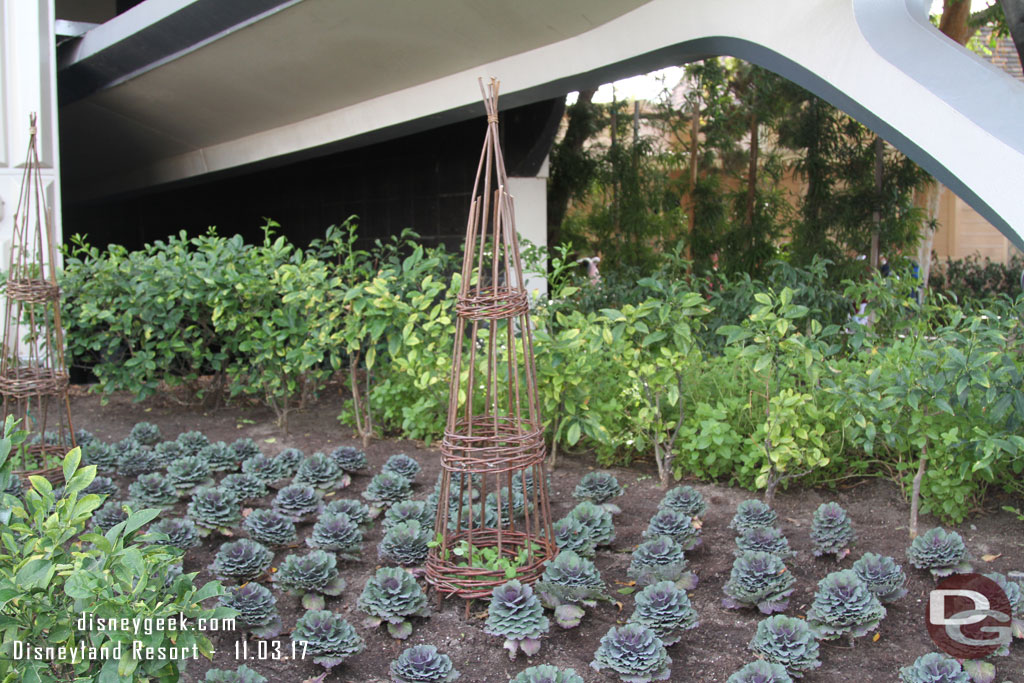 In Tomorrowland some fresh plantings.