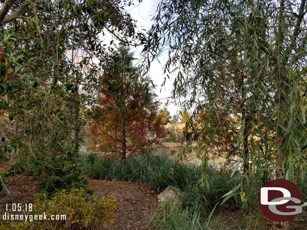 A couple trees along the Rivers of America look to be having some problems.