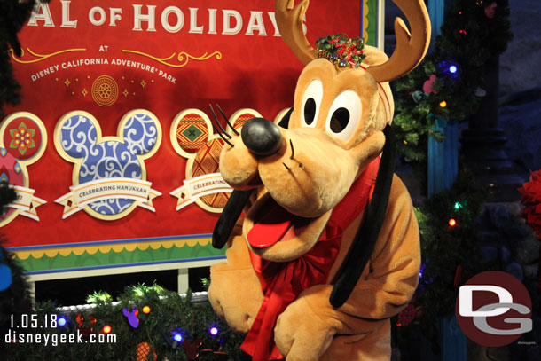 Returned to Disney California Adventure.  Pluto was greeting guests at the Festival of Holidays.