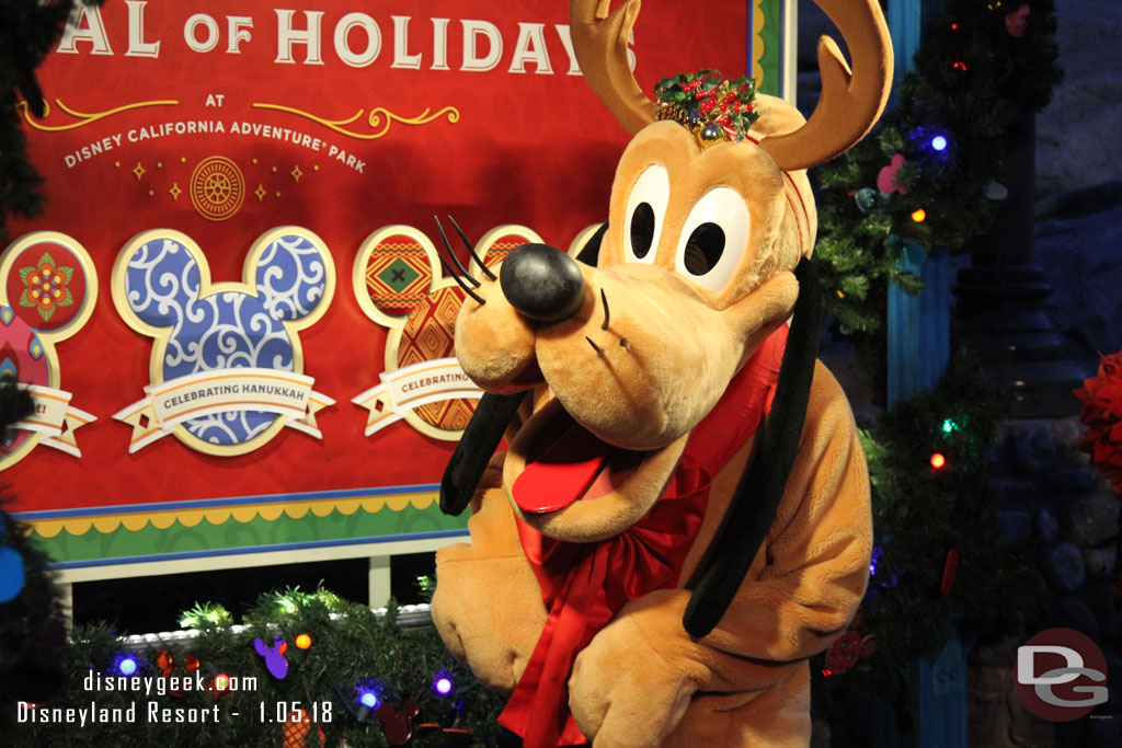 Returned to Disney California Adventure.  Pluto was greeting guests at the Festival of Holidays.