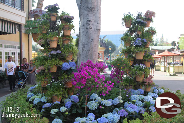 Winter plantings have taken over for Christmas throughout Downtown Disney.