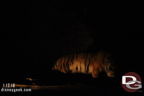 Next up the Jungle Cruise which had a five minute wait.  This was the only picture that was even remotely usable. 