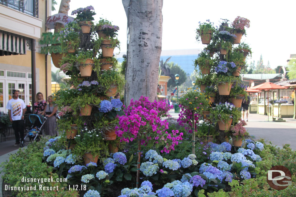 Winter plantings have taken over for Christmas throughout Downtown Disney.