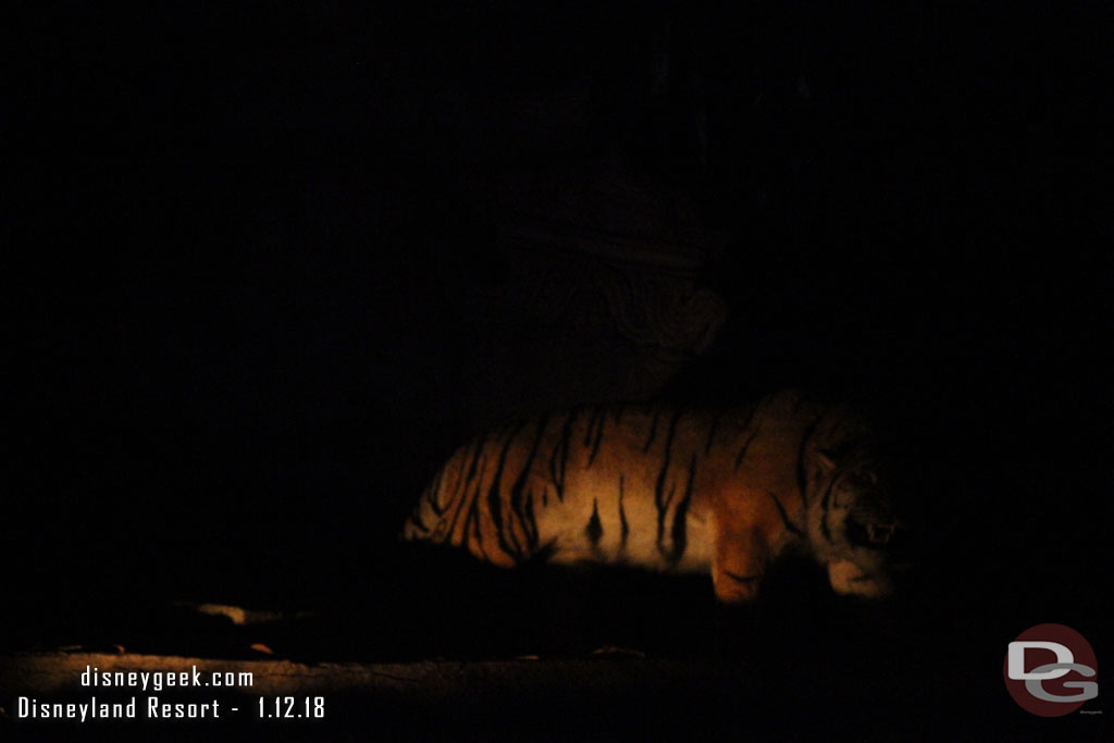 Next up the Jungle Cruise which had a five minute wait.  This was the only picture that was even remotely usable. 