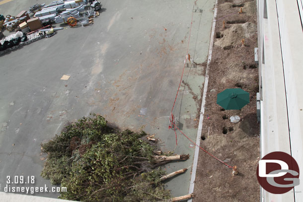 More trees and landscaping being removed from the planters by the parking structure.