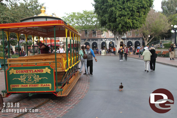 A duck checking out the street car and new track.