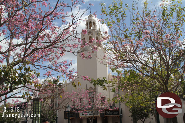 Springtime in Carthay Circle.