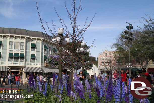 Spring blooms in Town Square