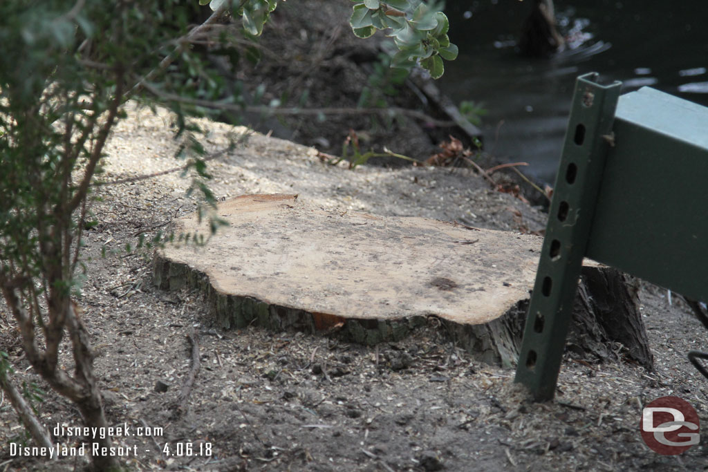 A large tree has been cut down giving a more clear view of the castle.  Wonder if this was done for the Pixar fireworks show projections.