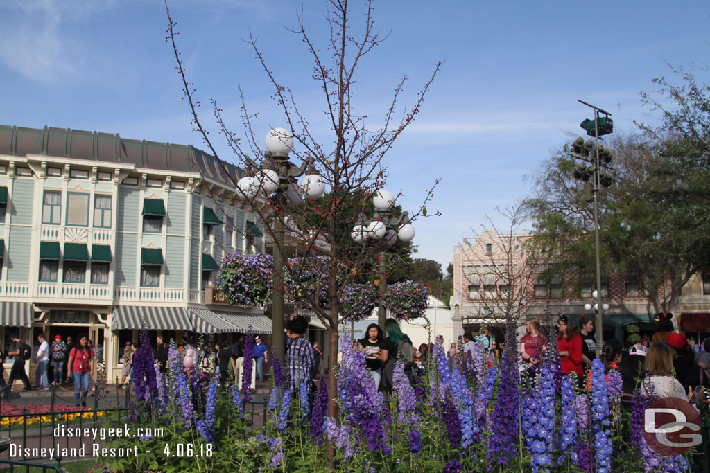 Spring blooms in Town Square