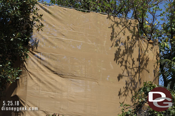 Toward the Jungle Cruise looks like the tower has been removed already behind the scaffolding.