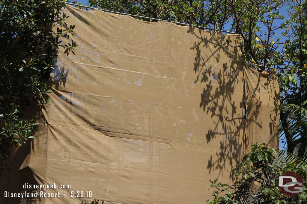 Toward the Jungle Cruise looks like the tower has been removed already behind the scaffolding.