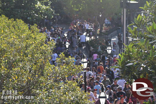 The view from Tarzan's Treehouse