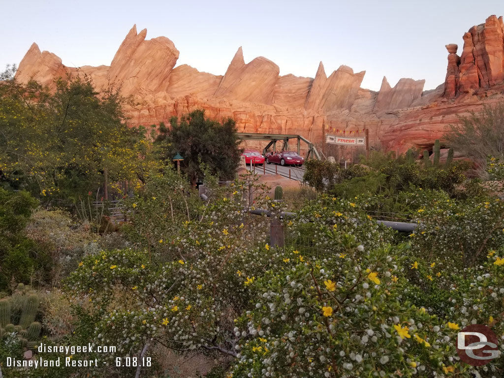 Ornament Valley this evening.