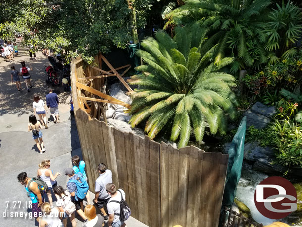 Some work in Adventureland near the treehouse.  Hard to tell what is going on if it is wall work or landscaping.