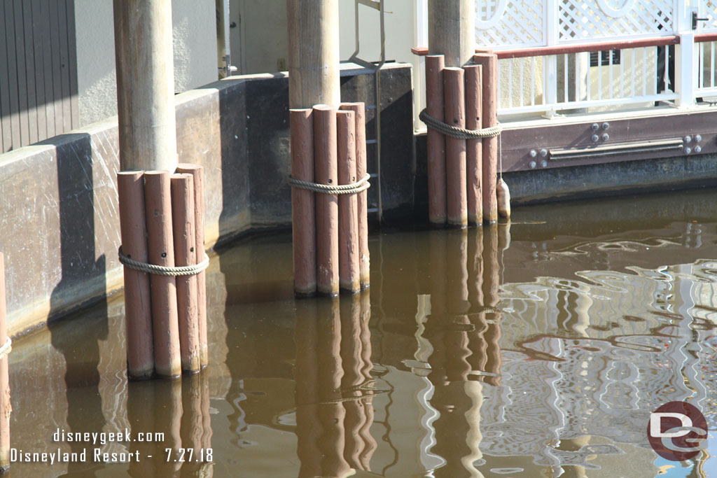 The water in the bay has turned brown.